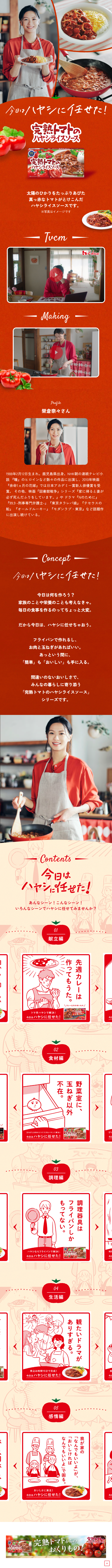 Ripe Tomato Hayashi Rice Sauce LP design (Prepared foods, dishes, and cuisine / Orange tones / Natural style)