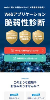 Vulnerability Assessment Service