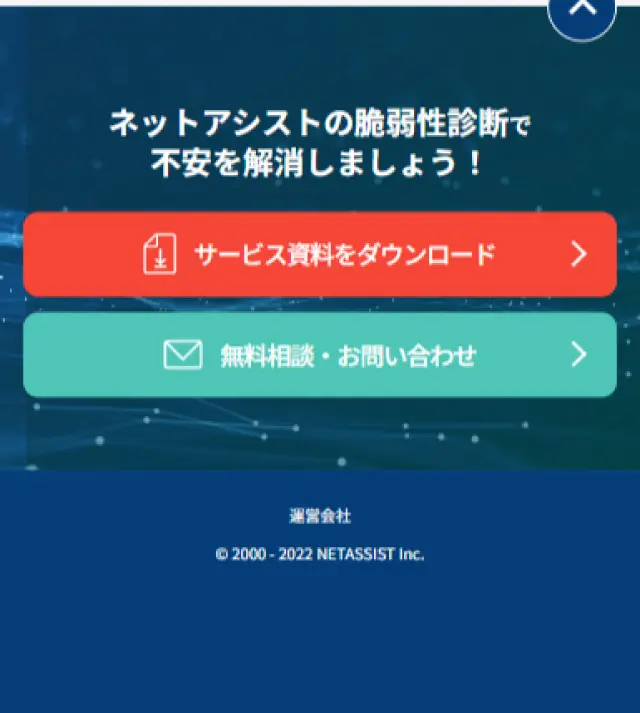 Vulnerability Assessment Service LP design (Design, Apps, Systems / Shades of blue / Cool style) Mobile version