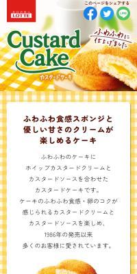 Custard Cake