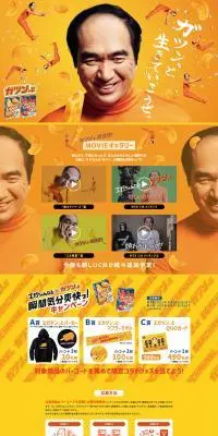 ガツン、とみかん2023のLPデザイン（洋菓子／オレンジ系／にぎやか系）PC版