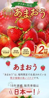 Amaou LP design (fruit-vegetable / Red tones / Cute style) Mobile version