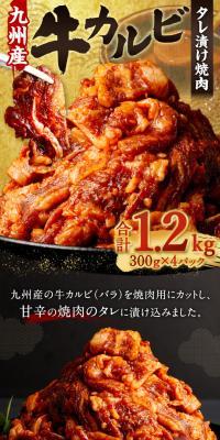 Domestic Beef Kalbi Marinated Yakiniku (from Kyushu)
