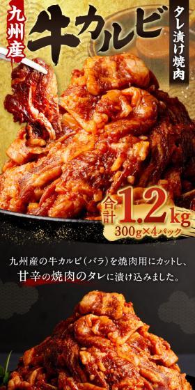 Domestic Beef Kalbi Marinated Yakiniku (from Kyushu) LP design (Meat and Meat Products / Black-colored / Japanese style) Mobile version