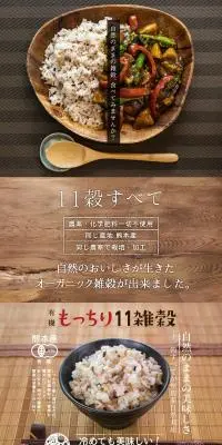有機 十一穀のLPデザイン（米・雑穀・シリアル／ブラウン系／信頼・安心系）PC版