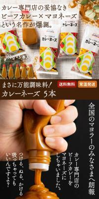 万能調味料カレーネーズのLPデザイン（調味料・甘味料・ダシ・スープ／ブラウン系／スタイリッシュ系）スマホ版
