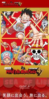 Meet the “ONE PIECE”