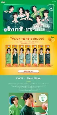 Smile to Smile ProjectのLPデザイン（イベント・キャンペーン・ギフト／グリーン系／シンプル系）PC版