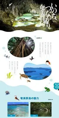 いのち、つながり。奄美群島のLPデザイン（国内旅行・海外旅行／グリーン系／かわいい系）PC版