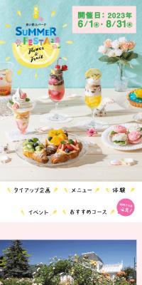 白い恋人パーク　サマーフェス