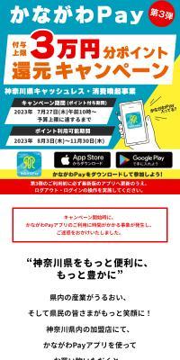 30,000 yen worth point rebate campaign