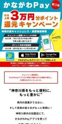 3万円分ポイント還元キャンペーンのLPデザイン（イベント・キャンペーン・体験／ブルー系／にぎやか系）スマホ版