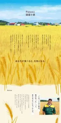 Pascoと国産小麦のLPデザイン（麺・パン・粉物／ブルー系／オーガニック系）PC版