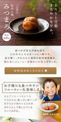 紀州の梅みつまろのLPデザイン（キムチ・漬物・梅干し／ブラウン系／和風系）PC版