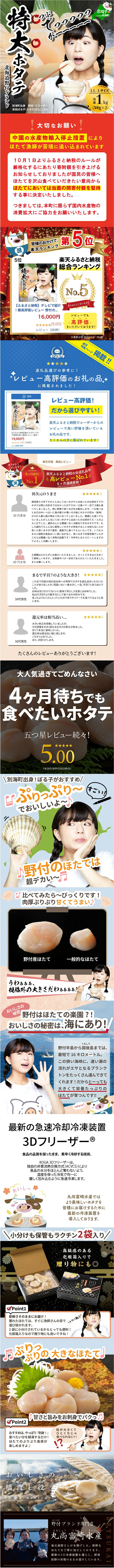 Scallop Adductor Muscle LP design (Seafood / Multi-color type / Japanese style) Mobile version