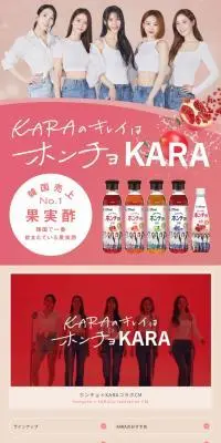 ホンチョのLPデザイン（栄養ドリンク／ピンク系／シンプル系）スマホ版
