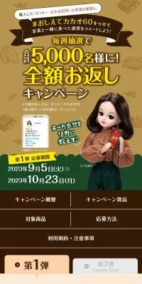 毎週抽選で合計5,000名様に！全額お返しキャンペーンのLPデザイン（イベント・キャンペーン・体験／ブラウン系／ナチュラル系）スマホ版