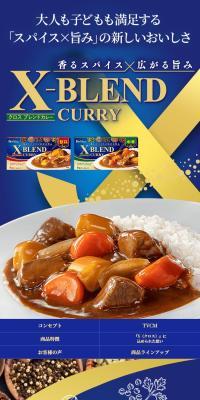 X-BLEND CURRY