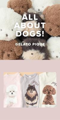 ALL ABOUT DOGS!