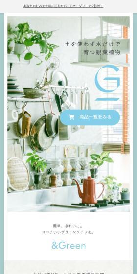 &Green LP design (Flowers, Houseplants, Artificial Flowers / Shades of blue / Simple) Mobile version