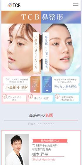 Purpose-Specific Rhinoplasty LP design (Hospital, Chiropractic, Massage / Multi-color type / Refined style) Mobile version