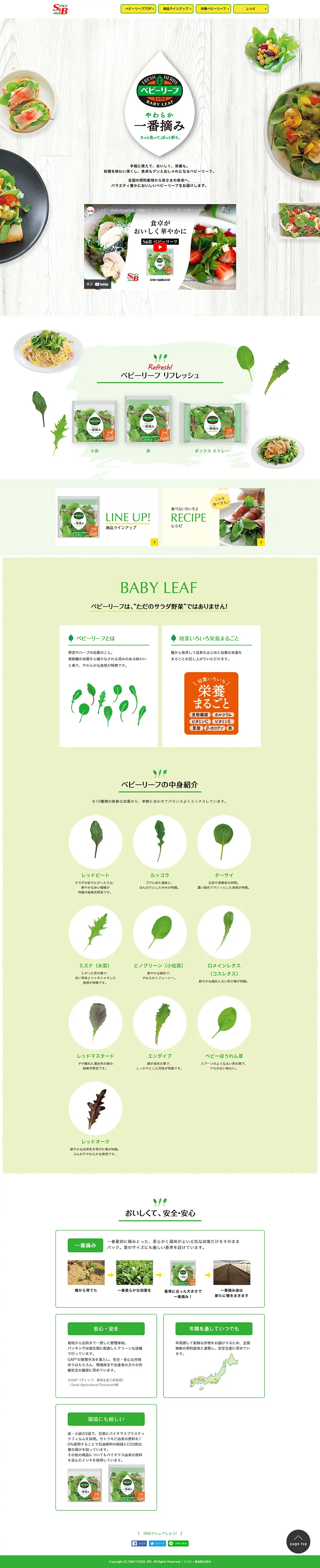 S&B Baby Leaf LP design (fruit-vegetable / Green tones / Health and Wellness) PC version