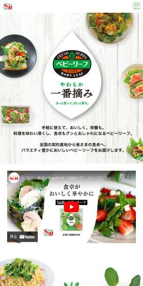 S&B Baby Leaf LP design (fruit-vegetable / Green tones / Health and Wellness) Mobile version