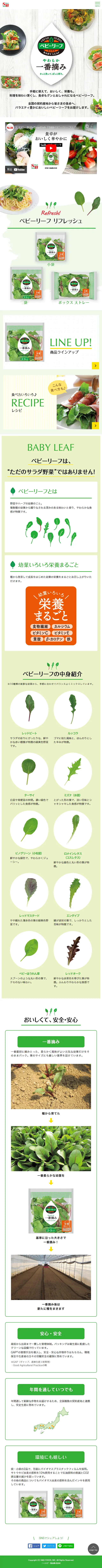 S&B Baby Leaf LP design (fruit-vegetable / Green tones / Health and Wellness) Mobile version