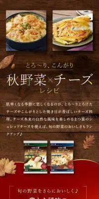 秋野菜×チーズレシピのLPデザイン（惣菜・おかず・料理／ブラウン系／スタイリッシュ系）スマホ版