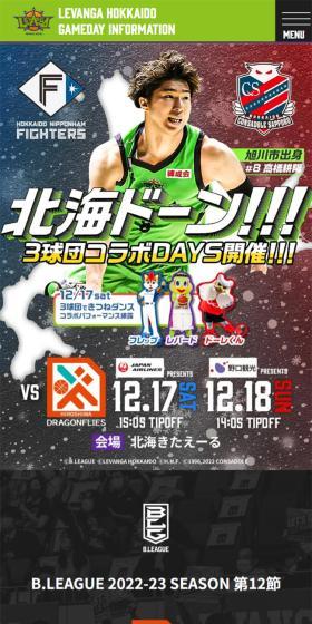 プロバスケ広島ドラゴンフライズ戦のLPデザイン（イベント・キャンペーン・ギフト／グリーン系／かっこいい系）スマホ版