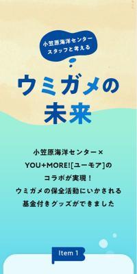 Considering the future of sea turtles with Ogasawara Marine Center