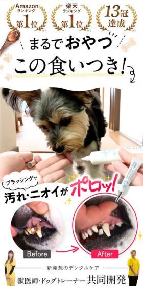 ドクターデンタルワンのLPデザイン（ペットフード ・ ペット用品／ブルー系／シンプル系）スマホ版