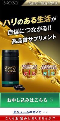 BOSTON Supplement