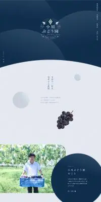 小川ぶどう園のLPデザイン（企業・会社・お店／ブルー系／信頼・安心系）PC版
