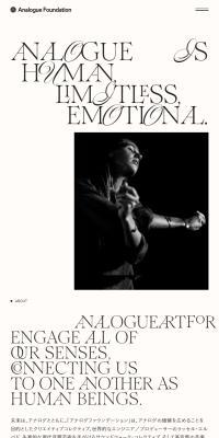 Analogue Foundation