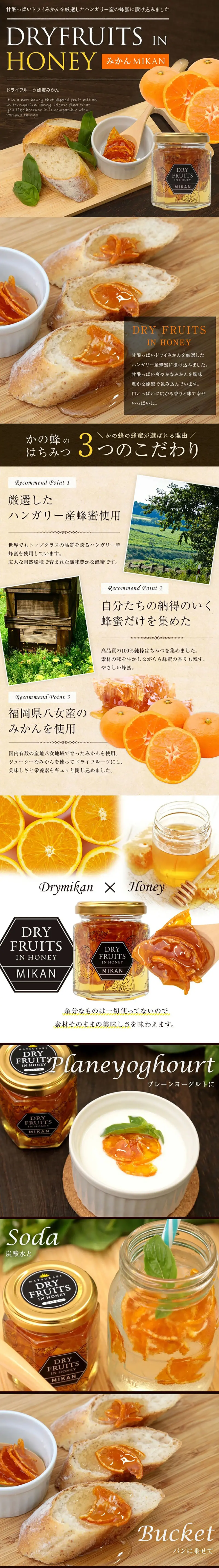 ドライフルーツインハニーのLPデザイン（フルーツ・果物・野菜／ベージュ系／信頼・安心系）PC版