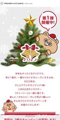 Christmas Campaign