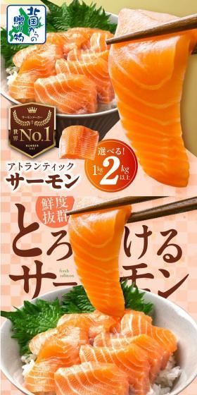 アトランティックサーモンのLPデザイン（魚介類・海産物／カラフル系／和風系）スマホ版