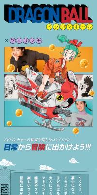 Dragon Ball x Felissimo