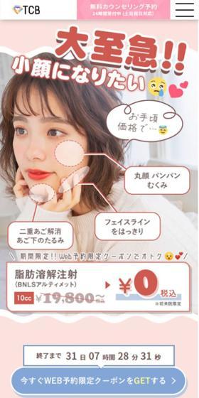 Fat Dissolving Injections LP design (este / Red tones / Simple) Mobile version