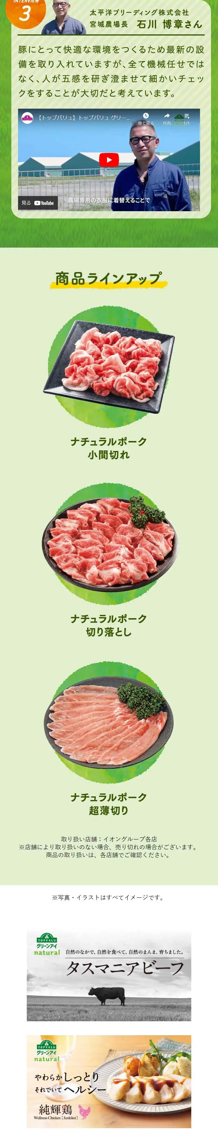 Aeon's Natural Pork LP design (Meat and Meat Products / Green tones / Natural style) Mobile version