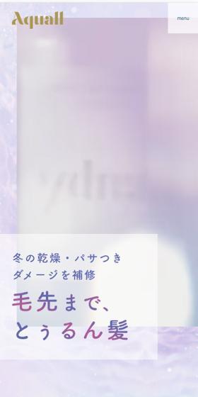 冬の乾燥・パサつきダメージを補修　毛先まで、とぅるん髪