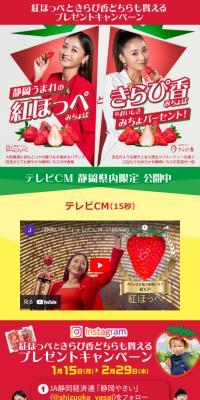 紅ほっぺときらぴ香 キャンペーン特設サイト