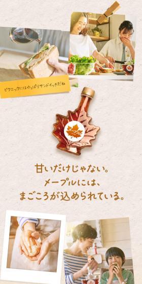 Canadian Maple Syrup LP design (Seasonings, Sweeteners, Broth, Soup / Beige tones / Organic) Mobile version