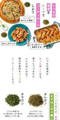 いつもの食卓をハーブでコーディネートしようのLPデザイン（調味料・甘味料・ダシ・スープ／グリーン系／にぎやか系）スマホ版
