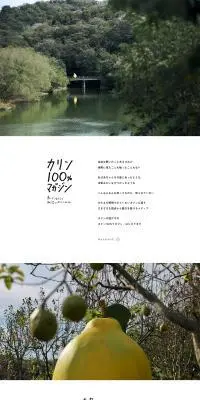 カリン100%マガジンのLPデザイン（フルーツ・果物・野菜／ホワイト系／ナチュラル系）PC版