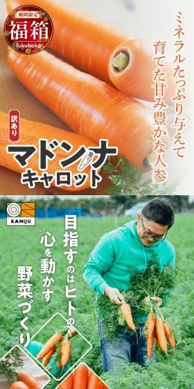 訳ありマドンナキャロットのLPデザイン（フルーツ・果物・野菜／オレンジ系／スタイリッシュ系）スマホ版