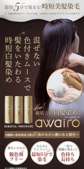 Awairo Hair Color Mousse LP design (Skincare, Bodycare, Haircare / Brown tones / Refined style) Mobile version