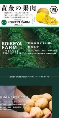 KOIKEYA FARMのLPデザイン（スナック・ガム・あめ・グミ／グリーン系／スタイリッシュ系）PC版