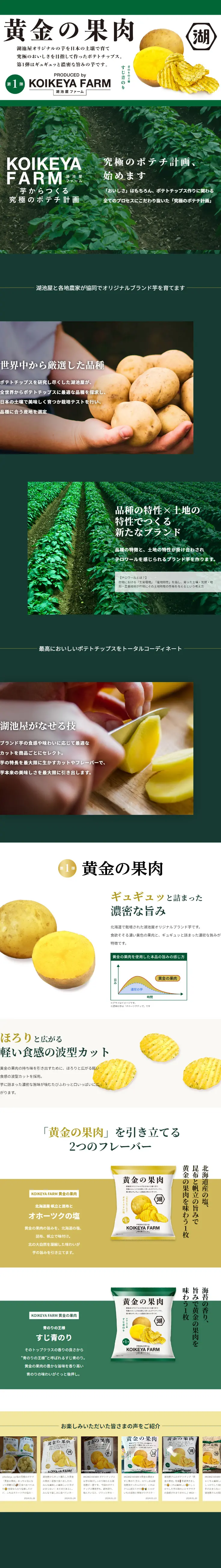 KOIKEYAFARM LP design (Snack foods, gum, and candy / Green tones / Stylish type) PC version